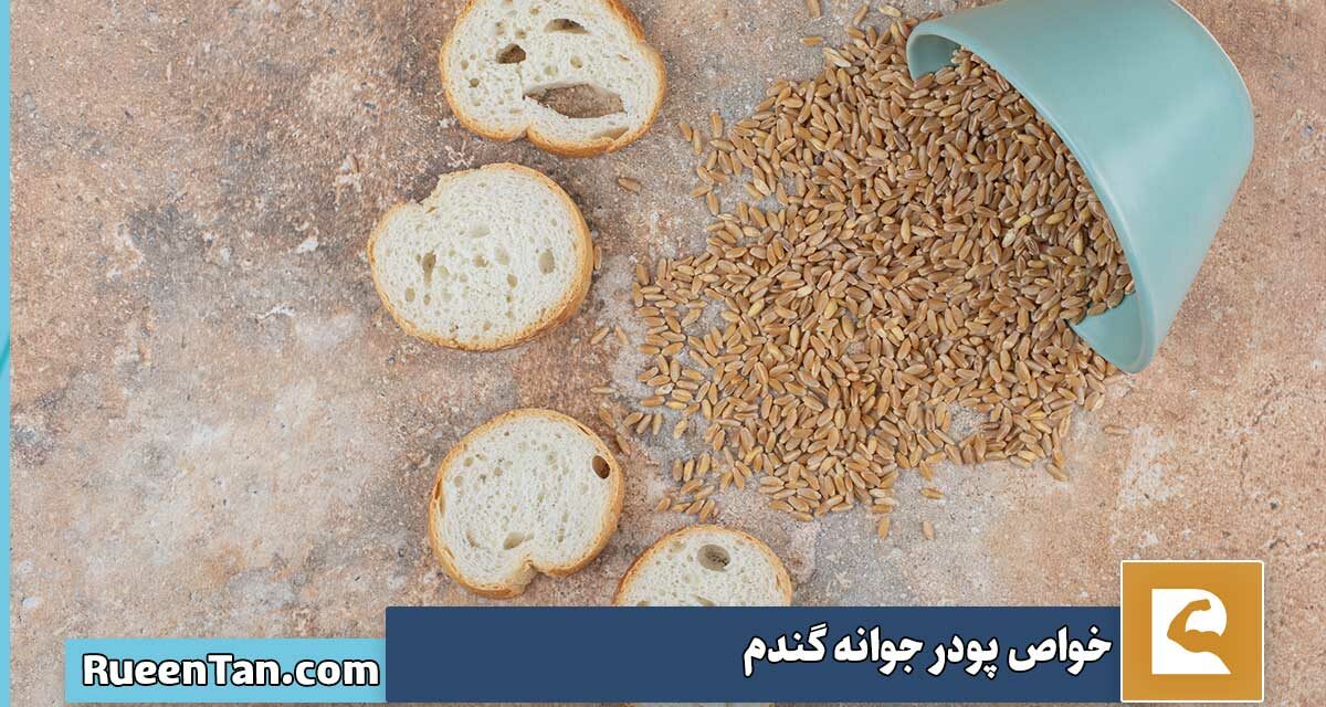 خواص پودر جوانه گندم از چاقی صورت تا سلامت بدن